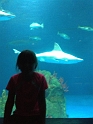 Kids_SeaWorldSA-2013 (105)